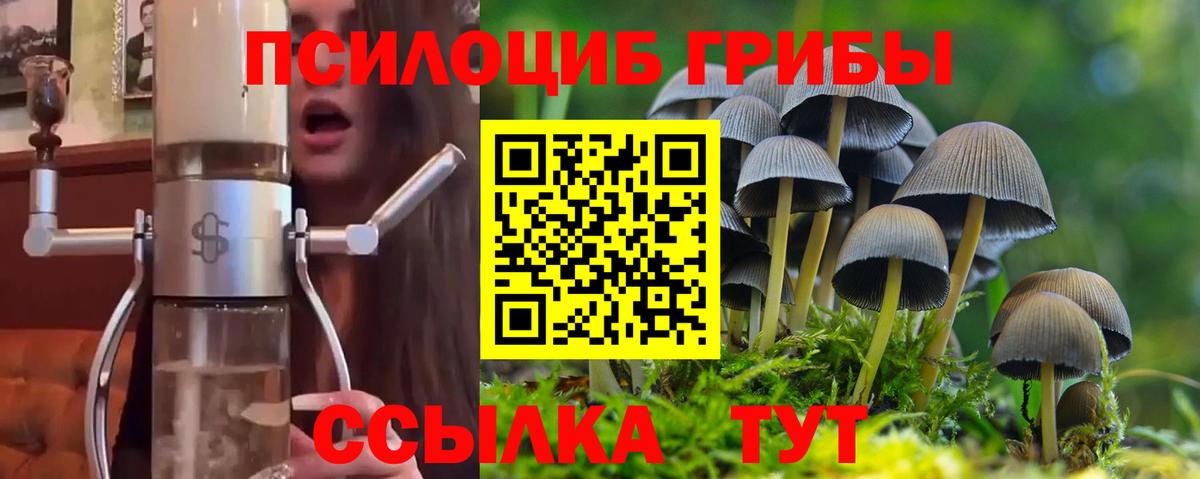 Псилоцибиновые грибы Psilocybe  Вход с VPN  Новый Уренгой 